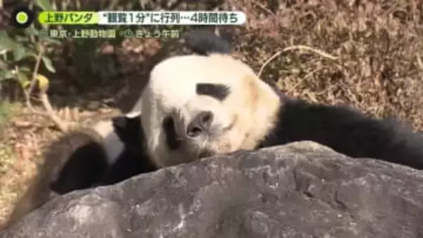 来月返還の双子パンダに長蛇の列　“観覧1分”に4時間待ちも　約14年間“毎日”パンダ撮影の男性は…