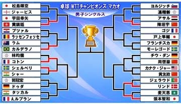 【卓球男子】張本智和が世界520位わずか13分の圧勝劇で初戦突破　宇田幸矢は香港選手に敗れる　世界6位台湾の林昀儒が初戦敗退〈WTTチャンピオンズマカオ〉