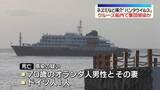 「ネズミなど媒介「ハンタウイルス」大西洋航行中のクルーズ船内で集団感染か　3人死亡」の画像1