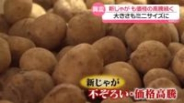 不作影響　ジャガイモ高値続く…種芋から栽培する人も