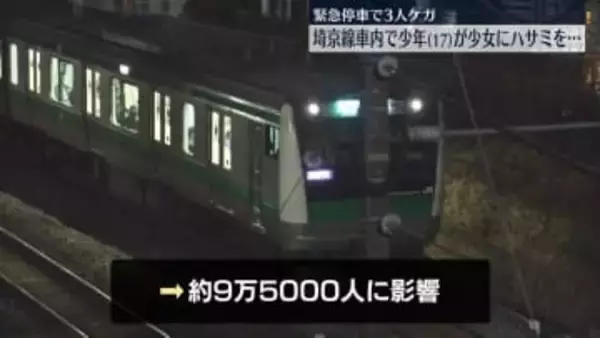 埼京線車内で少年（17）が少女にハサミを突きつける　緊急停車で3人ケガ