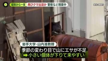 駆除から一夜明け…京都・舞鶴市に“再びクマ”　警察など捜索中