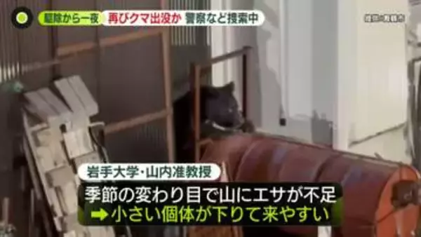 駆除から一夜明け…京都・舞鶴市に“再びクマ”　警察など捜索中