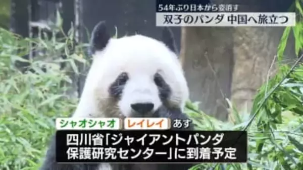 双子のジャイアントパンダ、中国へ旅立つ　54年ぶり全てのパンダが日本から姿消す