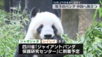 双子のジャイアントパンダ、中国へ旅立つ　54年ぶり全てのパンダが日本から姿消す