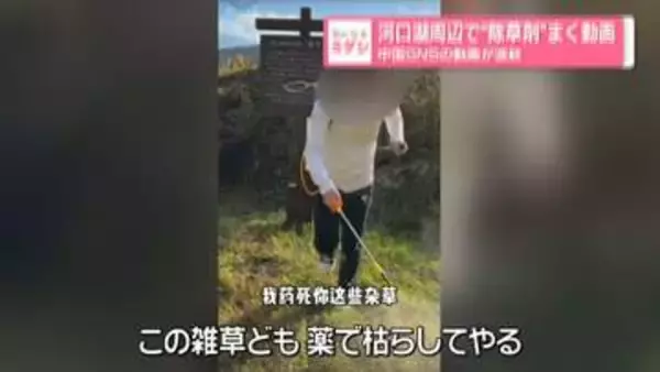 河口湖周辺で“除草剤”まく動画　中国SNSの動画が波紋