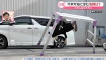 「初詣で悪いことをする人は…」思い込みNG　“スリ”に狙われる無防備な瞬間　「大掃除」危険な場面は？【#みんなのギモン】