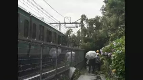 湘南新宿ライン全線運転再開　倒木の影響で一時運転見合わせ