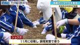 「中学生が佐伯の特産ショウガを植え付け「お菓子に使ってみたい」」の画像1