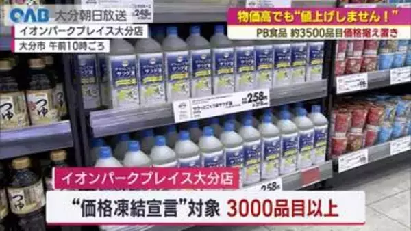 ＰＢ商品“価格据え置き”の裏側　イオンが進める調達・包装・物流見直しとは