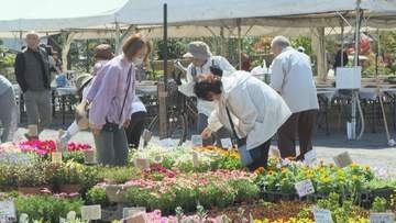 「たくさんありすぎて目移りする」　おおいた人とみどりふれあいいち