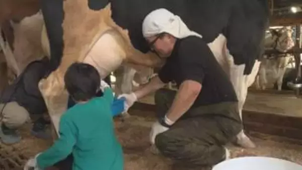 「「牛さんでかかった」親子２１人が搾乳体験　びん牛乳の現場を体感　中津市」の画像