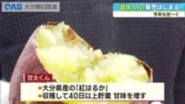 大分ブランド「甘太くん」販売開始　猛暑でも甘さ十分　園児も焼きいもに笑顔