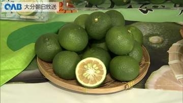 露地栽培の県産カボスが旬入り　「かぼすジャック！！」のキャンペーンも