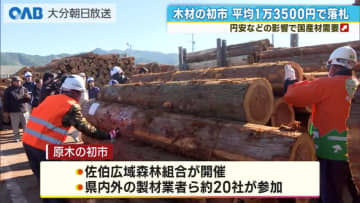 原木の初市　価格は去年並み　国産材需要が下支え　佐伯市