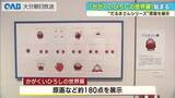 「「だるまさん」シリーズで人気「かがくいひろしの世界展」　大分市美術館で開幕」の画像1