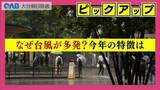 「【気象予報士が解説】今年の台風は平年より多く発達しやすい傾向」の画像1
