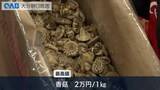 「最高値は２万円！生産量日本一の大分県産干しシイタケ初入札」の画像1