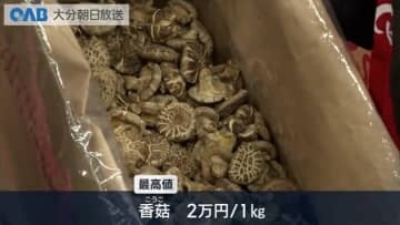 最高値は２万円！生産量日本一の大分県産干しシイタケ初入札