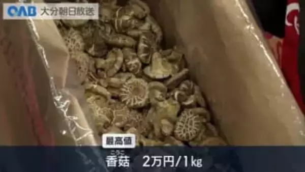 最高値は２万円！生産量日本一の大分県産干しシイタケ初入札