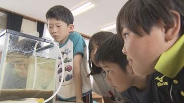 下水はどうやってきれいに？　小学生が“微生物の力”学ぶ出前授業