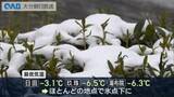 「氷点下の朝　小鹿田焼の里に雪とつらら　寒気は次第に緩む見込み」の画像1