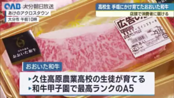 和牛甲子園出場！自ら育てた和牛を高校生が販売