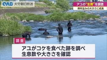 アユの稚魚どこまで育った？　生育状況を調査