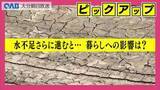 「山国川で８年ぶり取水制限　水不足続けば「時間断水」も検討　耶馬渓ダム」の画像1