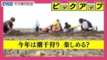 かつては日本一の漁獲量も…アサリが激減　潮干狩りは楽しめる？
