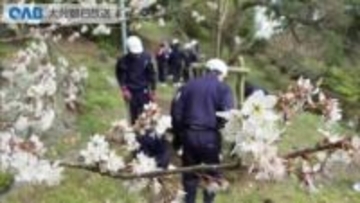 小学生の卒業記念　遊園地に桜の木植える「いい思い出になった」