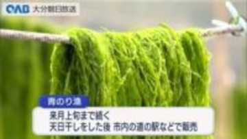 伝統の“青のり漁”体験　今年は少雨で収穫量少な目