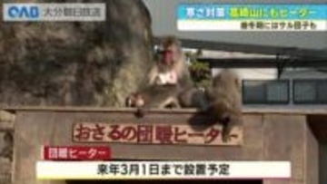 高崎山の冬支度始まる　“猿団子”と“モンキーラブ”に注目　団暖ヒーター今年も設置