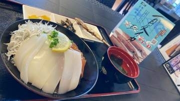 佐伯の海の幸を堪能　夏イカフェア