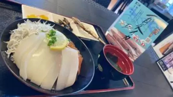 佐伯の海の幸を堪能　夏イカフェア