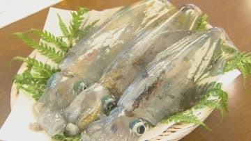 「津久見モイカフェスタ」開幕へ　旬の味覚と地元酒を味わうグルメイベント　大分