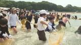 「海の日を前に長崎鼻でサマーフェスティバル　子どもたちが地引き網を体験　大分」の画像1
