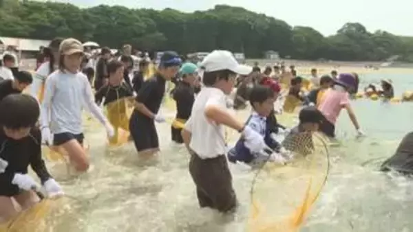 海の日を前に長崎鼻でサマーフェスティバル　子どもたちが地引き網を体験　大分