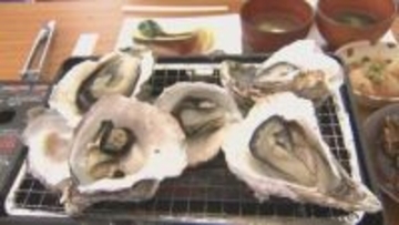 「日豊海岸岩ガキまつり」9日スタート　ぷりぷりで濃厚…佐伯市内9店舗で自慢の料理を提供