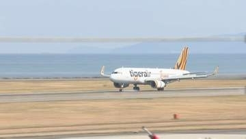 大分ー台湾便　客足好調で冬ダイヤも運航継続