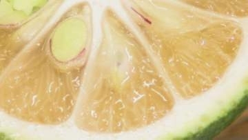 地元では味噌汁にも!　特産“露地カボス”が旬入り宣言…初セリは高値で取り引き「皮まで全部使って」