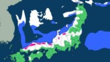 【大雪情報】日本海側を中心に広範囲で大雪のおそれ　交通障害に警戒【全国の大雪と雨のシミュレーション】