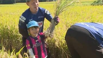 園児が自分で植えた稲を収穫　精米まで体験「おにぎりにして食べたい」