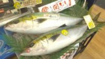 「関ぶり」九州7県で一斉販売　佐賀関大規模火災の復興支援へ