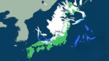 日本列島「冬の嵐」直撃、26日は暴風雪に警戒を　大雪70センチの予想も