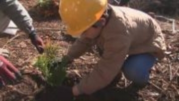 小学生が植樹と保護活動　森の役割と大切さを学ぶ　大分