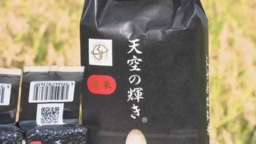 2㎏4000円台でも完売…市場の3倍で取引されるブランド米「くす天空の輝き」 高くてもなぜ売れる？