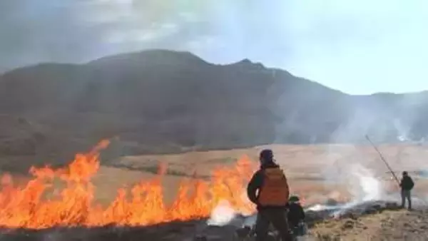 坊ガツル湿原で野焼き