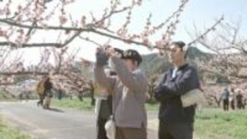 梅の名所「おおくぼ台梅園」6000本咲き誇る　家族連れが春の訪れ楽しむ　大分