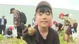 「小学生が環境や地産地消学ぶ　大分キヤノン社員育てたジャガイモを収穫体験」の画像1